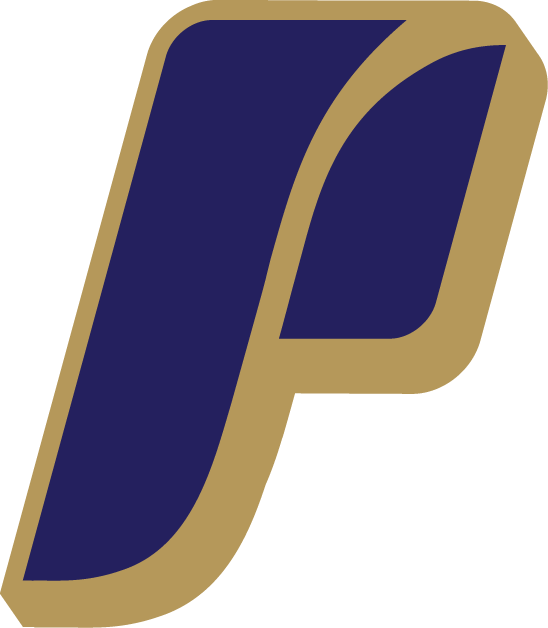 Portland Pilots 2006-Pres Alternate Logo DIY iron on transfer (heat transfer)